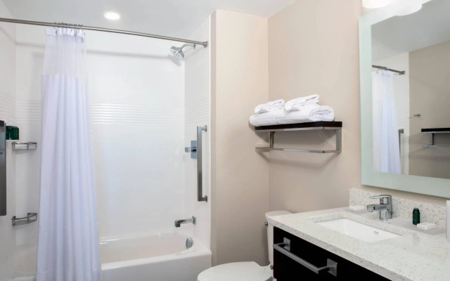 SpringHill Suites by Marriott Orlando Theme Parks/Lake Buena Vista