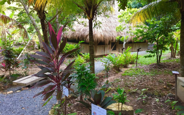 Upachaya
