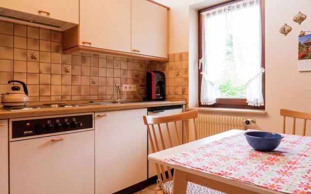 Modern Apartment near Forest in Bad Rippoldsau