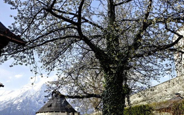 Schloss Friedberg