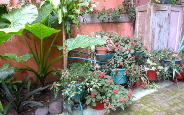 Casa San Telmo 13