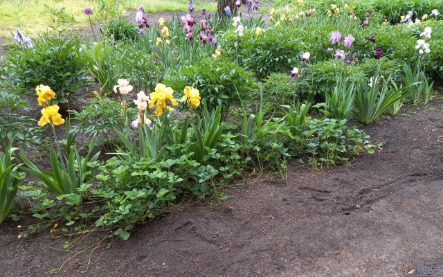 Однокомнатная квартира Lux возле ТЦ ЦУМ Центр города