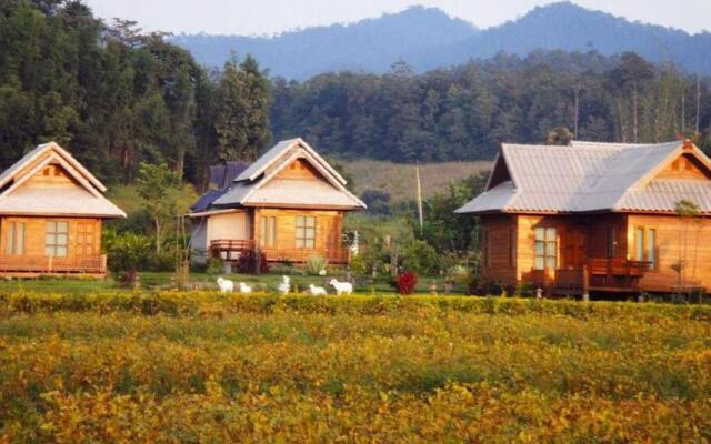 Tarnjedton Pai Resort