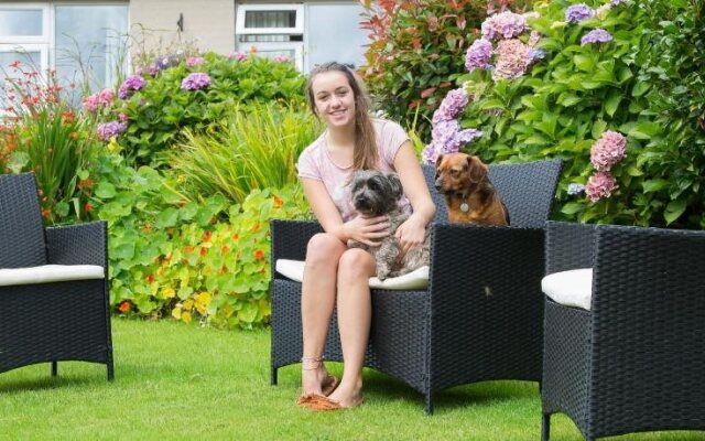 Doire Liath Bed & Breakfast