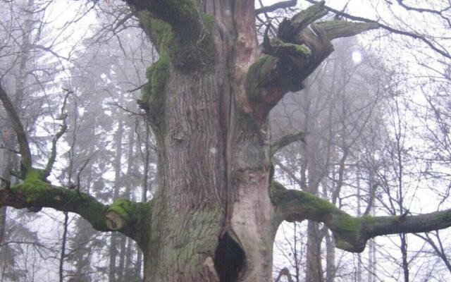 Gasthaus Zum Lindenwirt