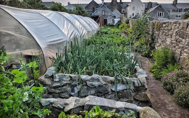 The Black Sheep Hostel