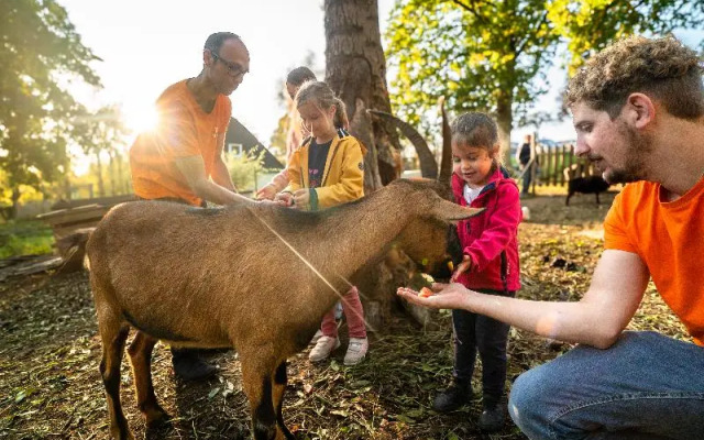 VVF Normandie Forges-les-Eaux