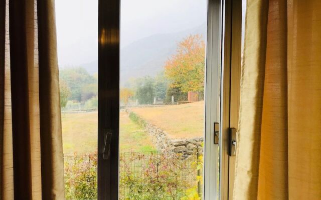 B&B L'Albero Maestro