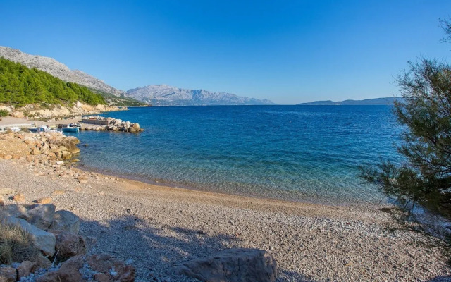 Saga - With Swimming Pool - A2