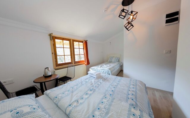 Abant İlbey Dağ Evi