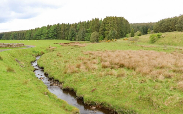Shepherds Burn Cottage