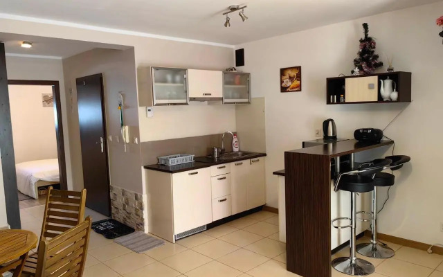 Sentymentalne Kościelisko Apartament & SPA