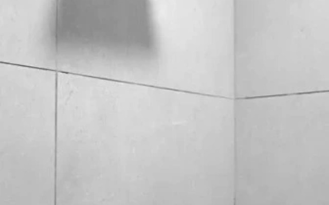 OYO 79600 The Premium Villa