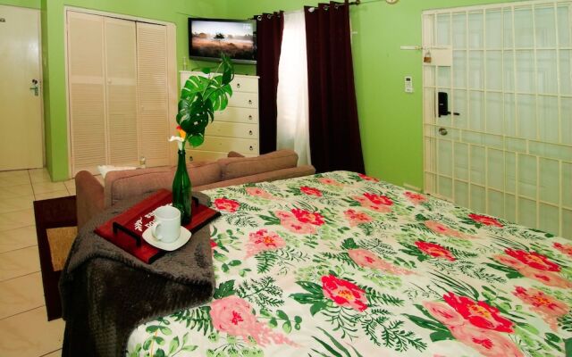 876 JA Oasis by Kingston Airport