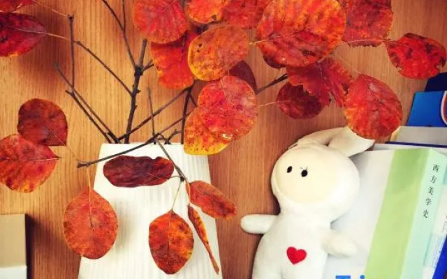 Beijing Banquan Zhiye Tingyu Homestay