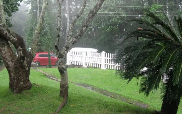 Granny’s Forest Lodge