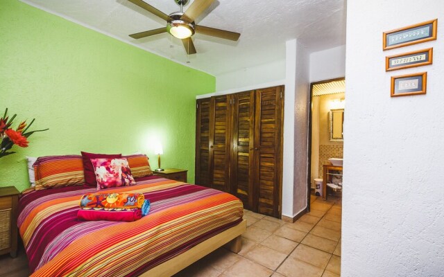 Downtown 5th Avenue Dalia 2