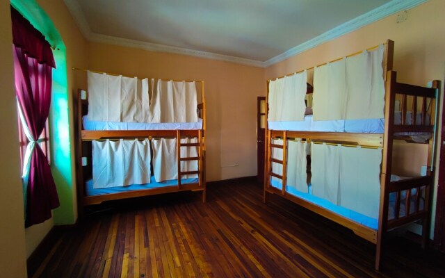 Vibes Hostel