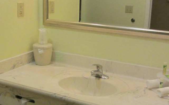 Holiday Inn Express & Suites Houston North Intercontinental by IHG