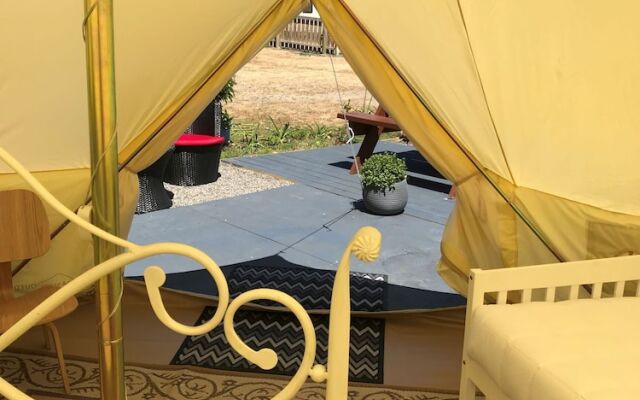 Leithfield Beach Holiday Park
