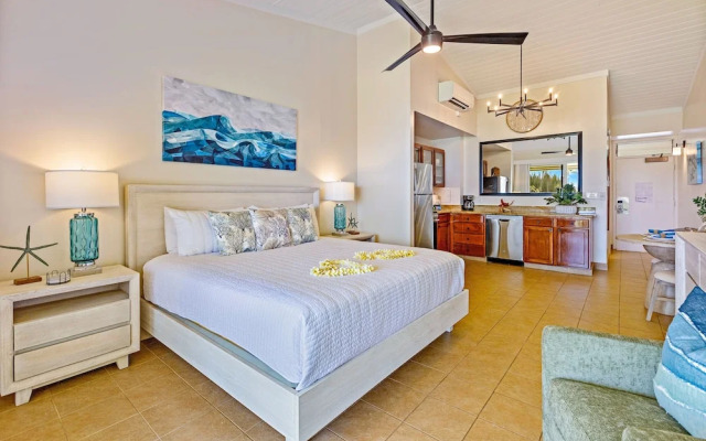 Napili Shores G258 Studio Condo Condo