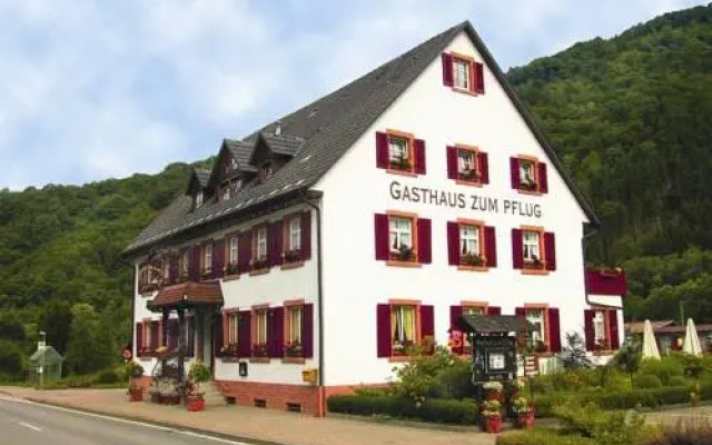 Gasthof zum Pflug