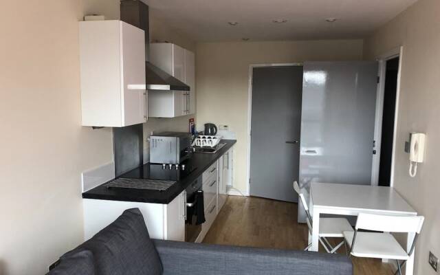 Harley Apartments Broughton House