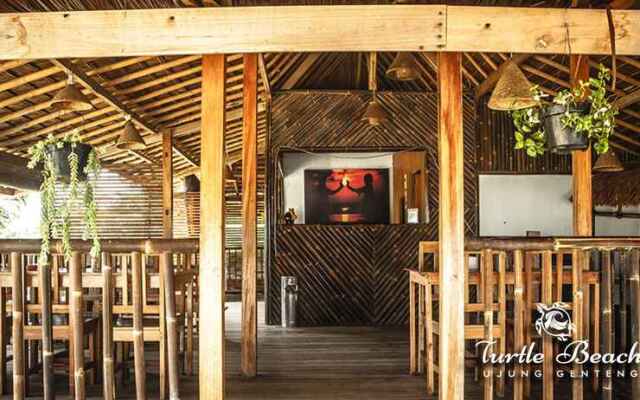 Turtle Beach Hotel