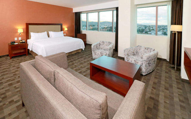 Holiday Inn Leon Plaza Mayor by IHG