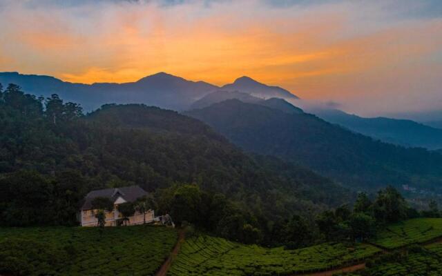 Tea Harvester Munnar