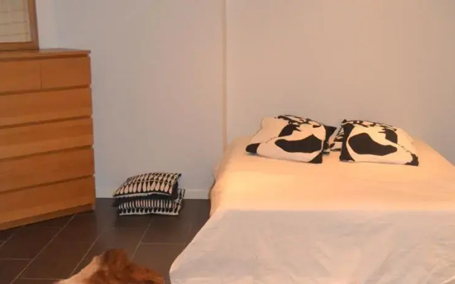 Säynätsalo Apartment