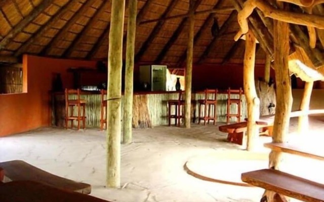 Jumbo Junction