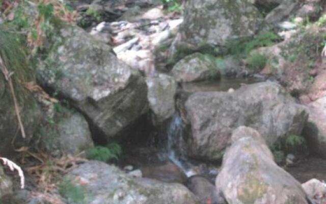 Janardan Homestay Nainital