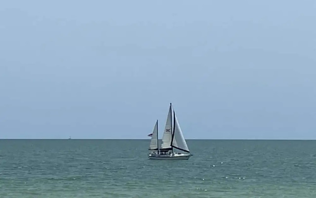 The Mermaid and the Sea Turtle