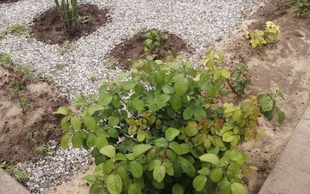 V gostyakh u Baby Poli