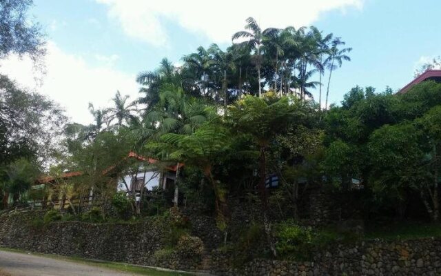 Kamayan sa Palaisdaan Hotel and Resort