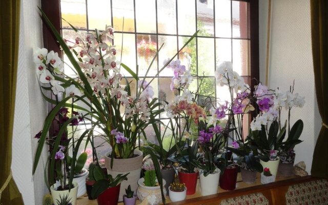 Hotel zur Grafschaft