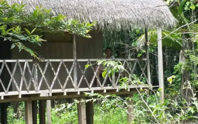 Lodge Jungle Wolf Expeditions