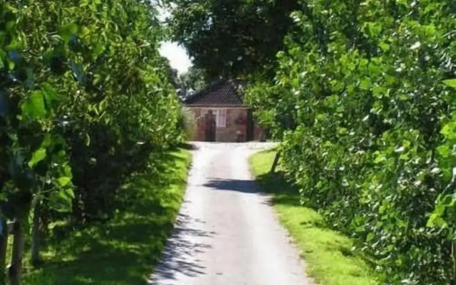Blounts Court Farm