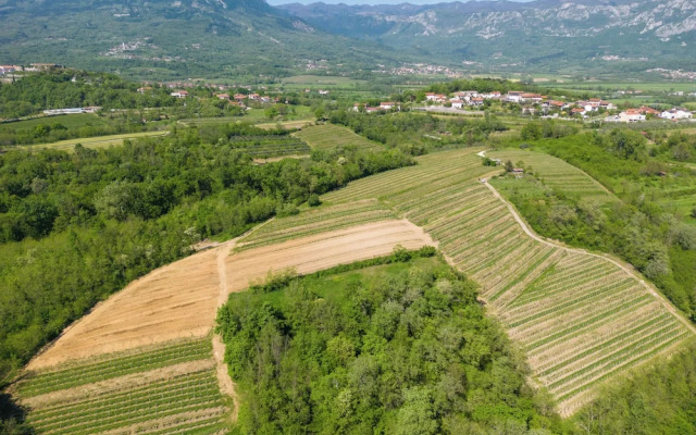 Tourist Farm Valic - Apartment and Winery