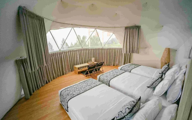 Desa Kepompong by Sinergi