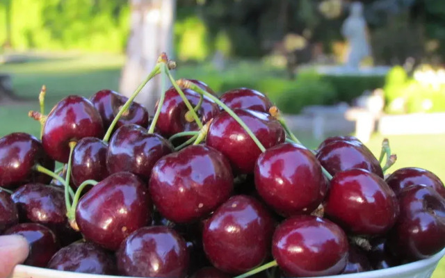 Warm Springs Inn & Winery