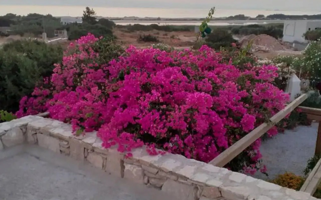 Naxos Alyko Traditional Vacation House Mitatos