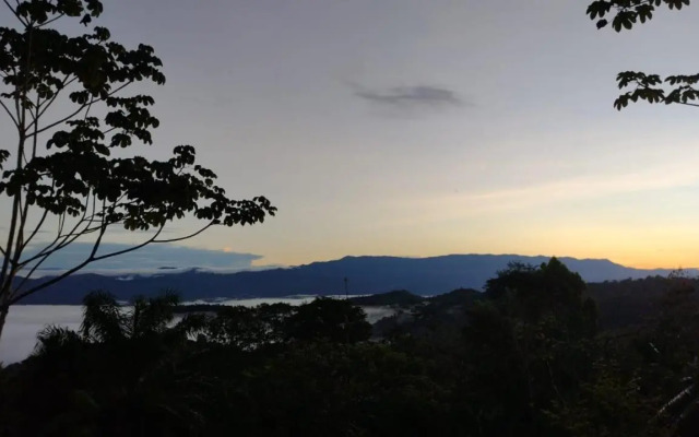Mirador Osa