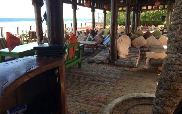 Penguin Village Dahab