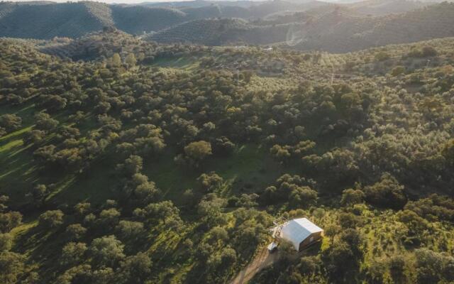 La Dehesa Experiences