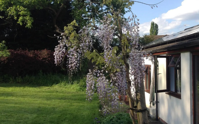 Yew Tree Farm