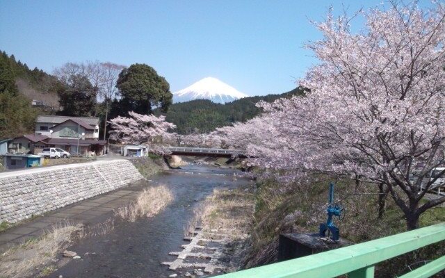 Urijima Onsen Suikouen Sakura