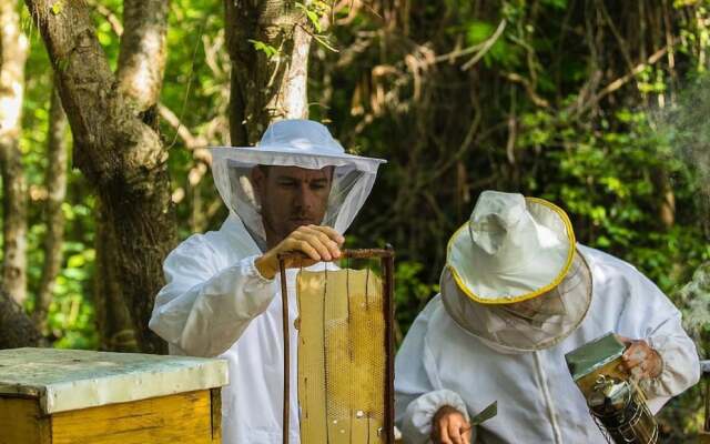 Gorgeous Apartment With Private Picuzzi D3