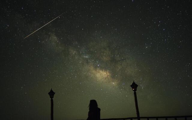 Back Wood Stays cheog